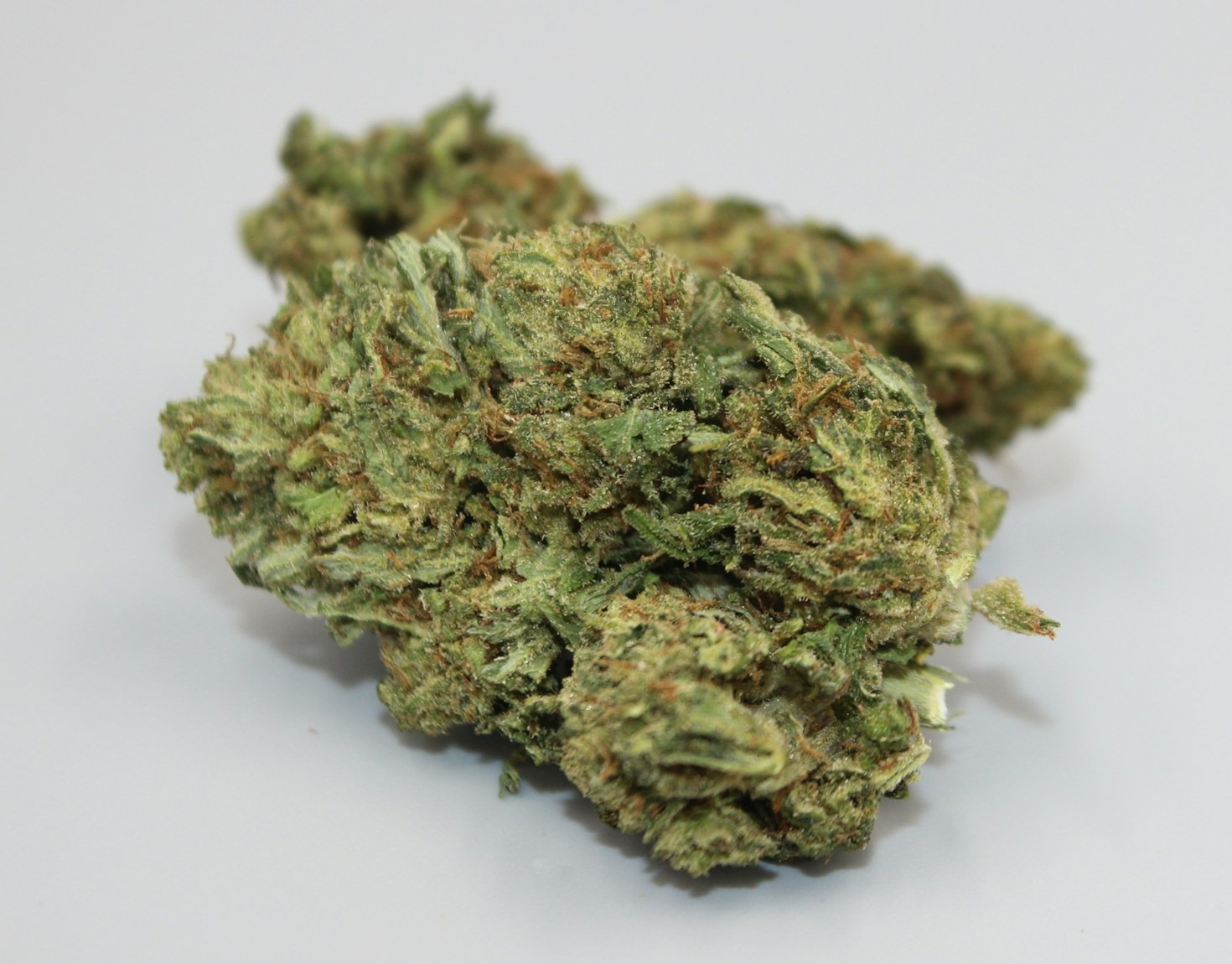 How to Grow Cannabis on a Budget